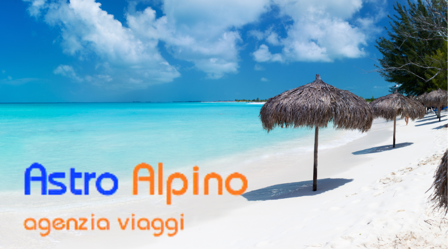 Al momento stai visualizzando ASTRO ALPINO SRL