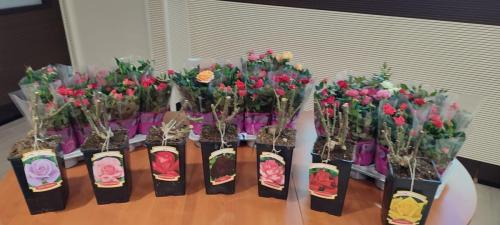 02_Serata con Scarlatta