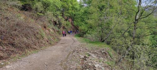 05_24.05.19_Oasi Zegna