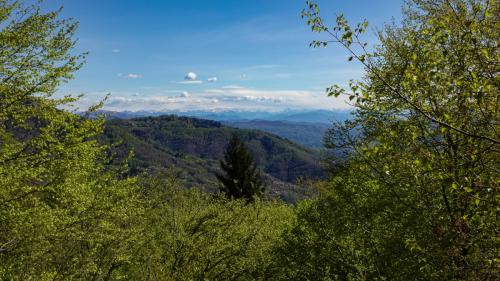 06_Due passi con CRAL ASL BI