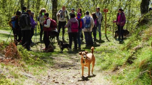 09_Due passi con CRAL ASL BI