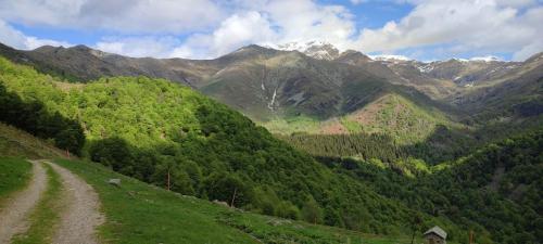 11_24.05.19_Oasi Zegna