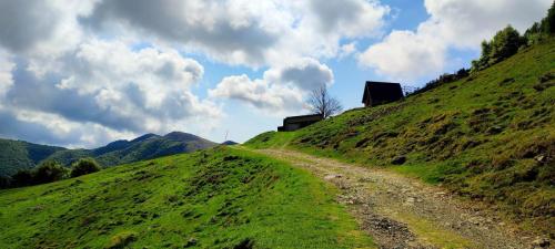 15_24.05.19_Oasi Zegna