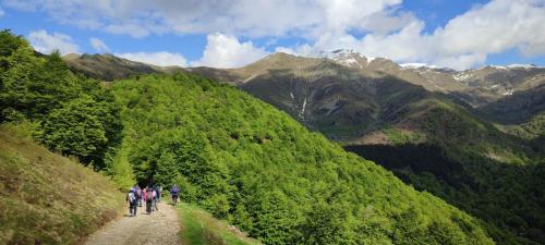 16_24.05.19_Oasi Zegna