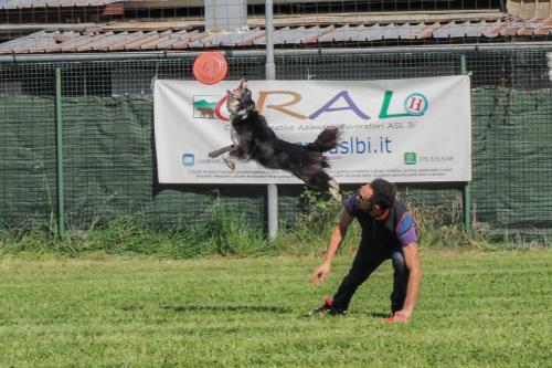 24.04.13_Divertiamoci con i cani