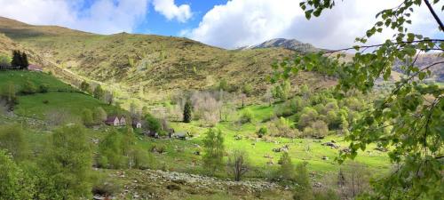 29_24.05.19_Oasi Zegna