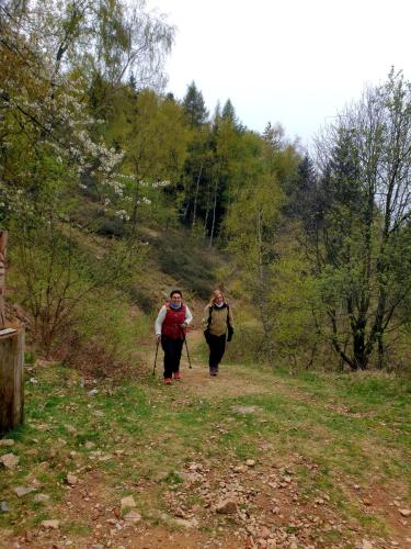 36_Due passi con CRAL ASL BI