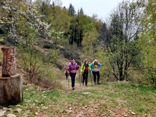 42_Due passi con CRAL ASL BI